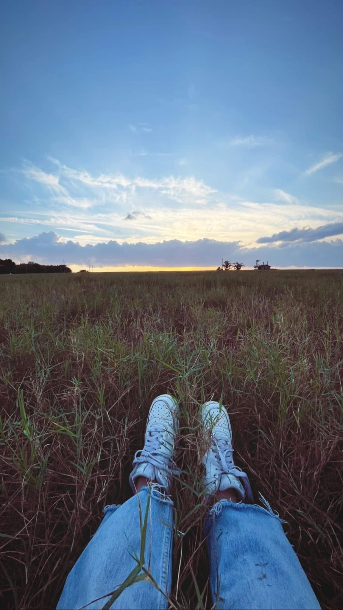 A serene landscape with a green field, a path, and mountains in the distance.